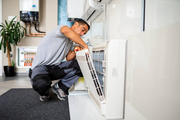 Best Air Duct Inspection  in Ladson, SC